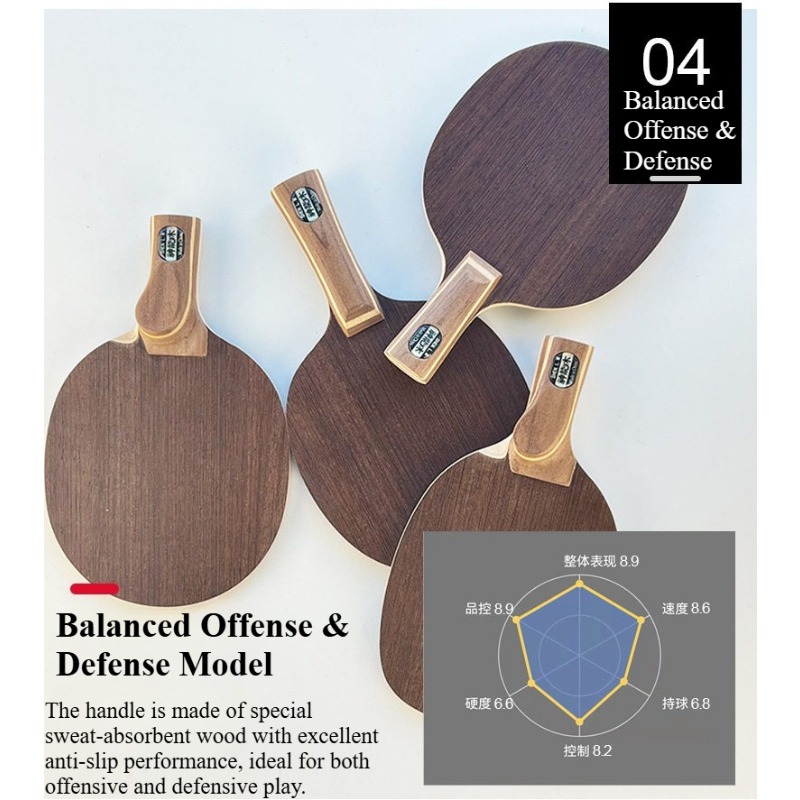 Chinese/Japanese Penhold Table - Table Tennis Paddles recension och pris